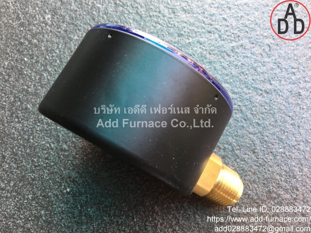 Dungs Pressure Gauge:0~600mbar (6)